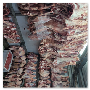Carne Vacuna