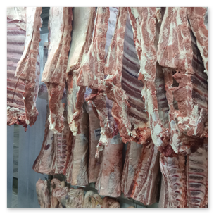 Carne Vacuna