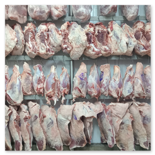 Carne Vacuna