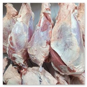 Carne Vacuna