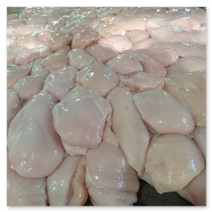 Pollo