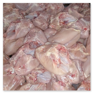 Pollo