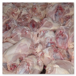 Pollo