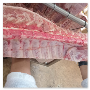Cerdo