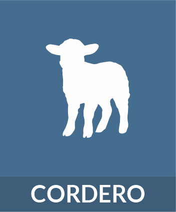 Cordero