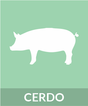 Cerdo