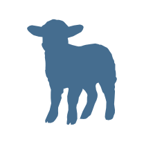 Cordero
