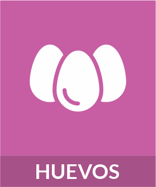 Huevos seleccionados
